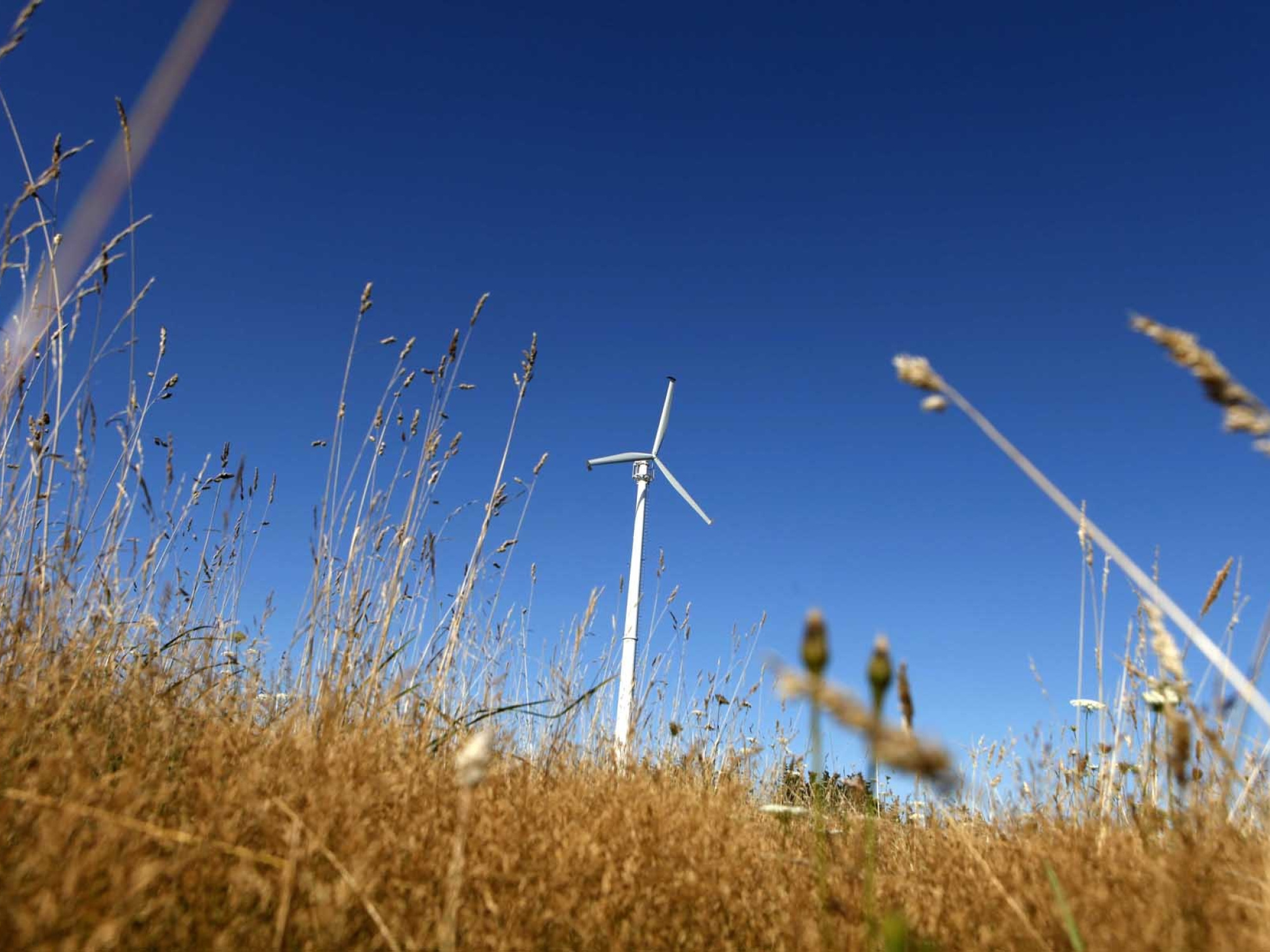 Turbine in Nova Scotia