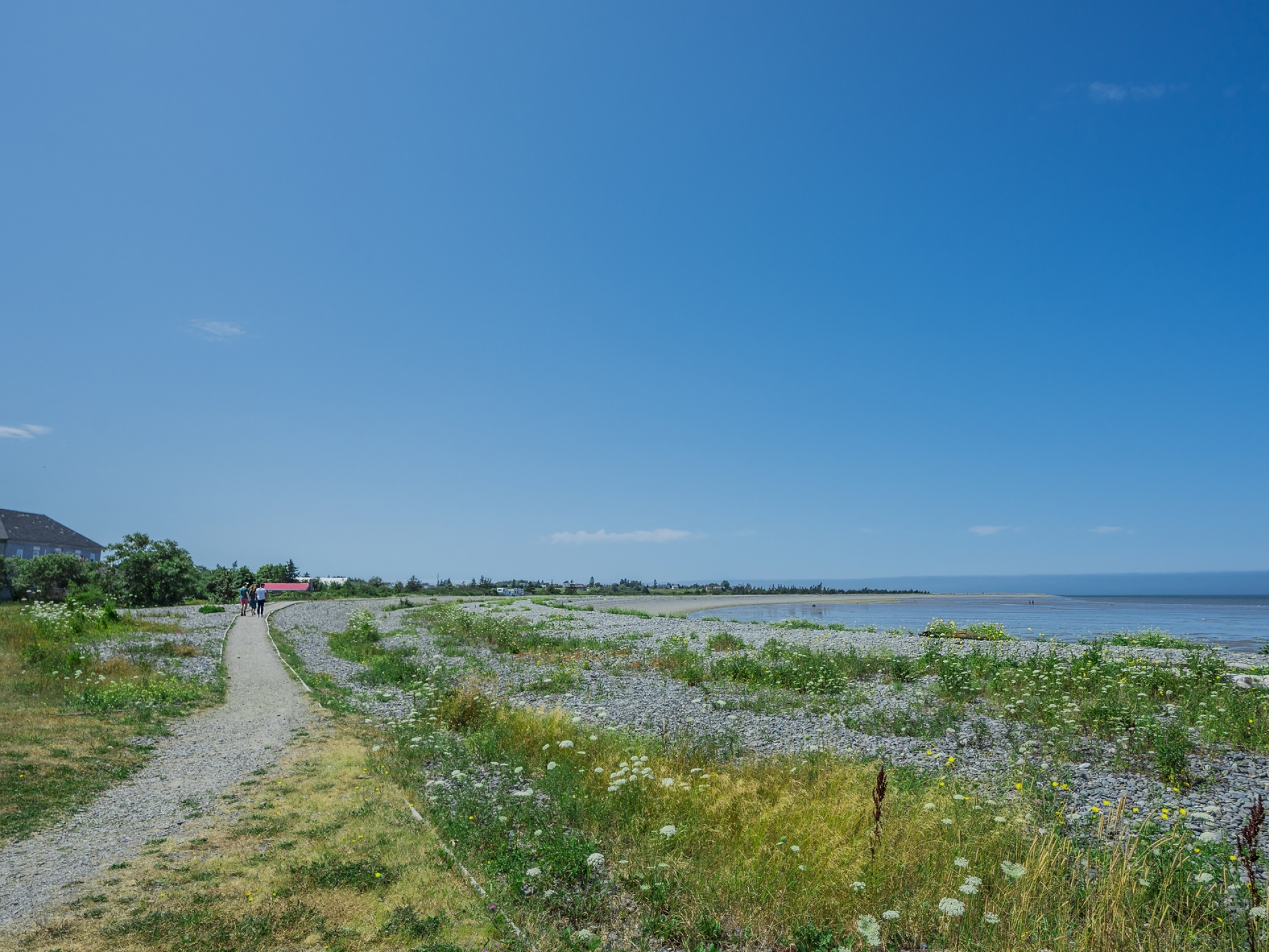 Belliveau Cove trail