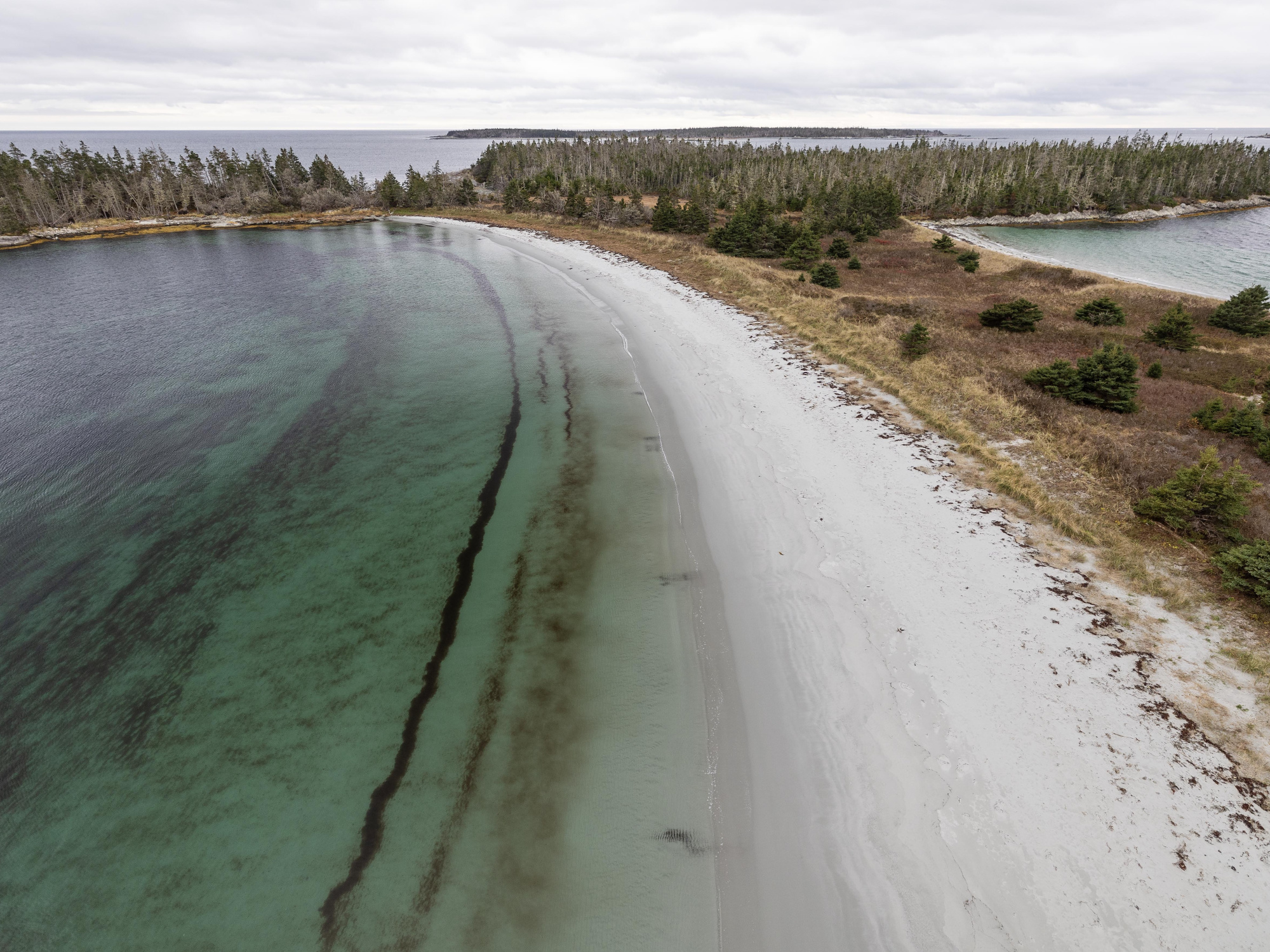 100 Wild Islands, NS