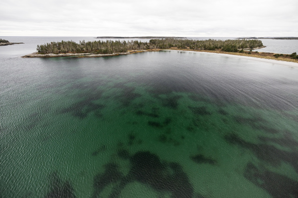 100 Wild Islands, NS